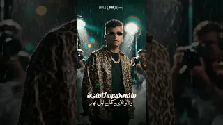 الشبكة واقعة ولا ايه عصام صاصا الكروان توزيع كيمو الديب 2025 