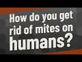 How do you get rid of mites on humans