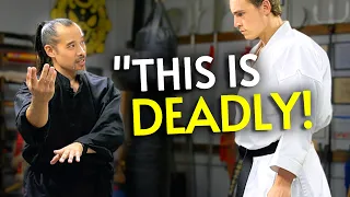 real tai chi is terrifying