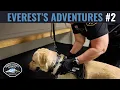 Everest Gets Booked into the Pierce County Jail