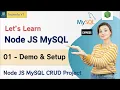 Demo And Setup Nodejs MySQL CRUD Project Node Js MySQL Tutorial 2024