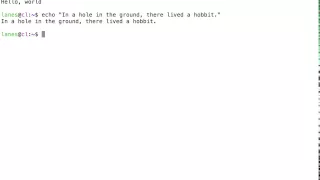 Using echo to print simple strings