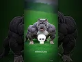 Download Lagu xl pitbull dog's are not scary 🐕☠️ #pitbull #bulldog #editing #americanbully