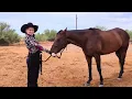 Class 10 - Showmanship Scottsdale Saddle Club