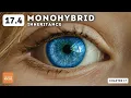 IGCSE Biology - Monohybrid inheritance topic 17 4