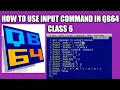 How to use Input Command in QB64 Class 6