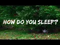 Lagu Sam Smith - How Do You Sleep? (Lyrics)
