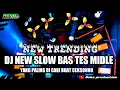 Download Lagu DJ SLOW BAS X TES MIDLE TERBARU , YANG BANYAK DI CARI , VIRAL TRENDNG KARNAVAL 2024