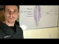 Fundamentals of Using Ai on EEG to Detect Seizures