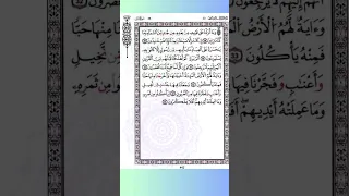 4سورة ياسين برواية قالون من الآية 28 إلى الآية 35 بصوت الشيخ الحصري 