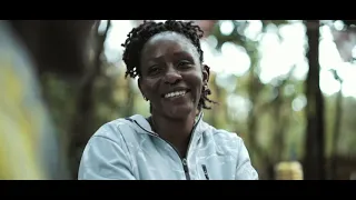 karura forest a tale of two acacias