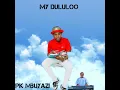 MY DULULU (feat. Mjolisi)