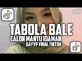 Download Lagu DJ TABOLA BALE X CALON MANTU IDAMAN || SLOWED + REVERB VIRAL TIKTOK🍂
