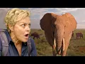 Download Lagu In het land van de laatste olifanten van Kenia