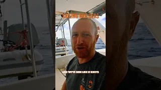 Forecast is INSANELY WRONG! DANGEROUS SAILING! ⛵️ #freakstorm