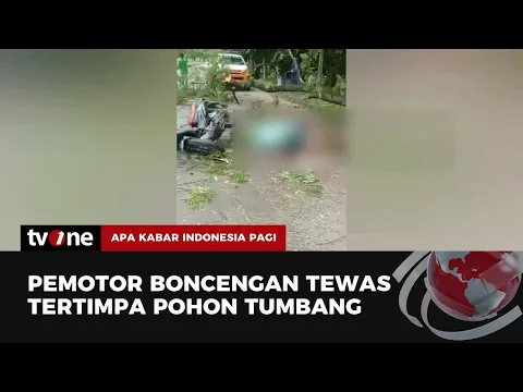 Dua Orang Tewas Akibat Insiden Pohon Tumbang di Purwakarta