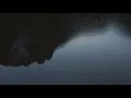 Magnolias