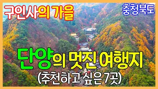 충청북도 단양의 좋은 여행지 7곳 | 단양강 잔도, 수양개 생태공원, 만천하 스카이워크, 보발재, 구인사, 도담삼봉, 양방산 전망대 | Travel Korea