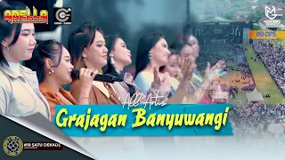 all artis grajagan banyuwangi live adella x cumi cumi audio pemuda curahjati bersatu