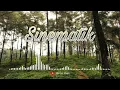 Download Lagu 10 Backsound Sinematik | Rekomendasi buat video wisata alam, hunting | No Copyright