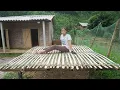 Download Lagu How to make bamboo floor play corn - 12 year old girl builds her own farm
