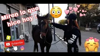 miren lo que hice hoy resubido 