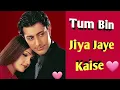 Tum Bin Jiya Jaye Kese | Tum Bin | Chitra | Nikhil Vinay | Priyanshu, Sandali | Superhit Songs
