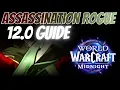 Midnight Assassination Rogue Guide for 12 0