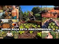 Download Lagu MAIS UM GRANDE PASSO POR AQUI🙏🏼|TEM SIDO DIFÍCIL MAS DEUS TEM NOS SUSTENTADO! MANHÃ TODA COM A GENTE