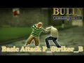 Bully AE - Basic Attack P