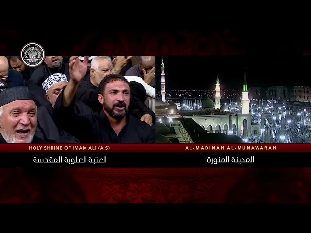 ⁣سماحة السيد حيدر الموسوي / ليلة 29 صفر 1441 هـ