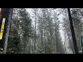 Highway 50 88 in Sierra closed due to winter storms