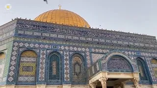 نشيد  نور أطل على الحياة رحيما  أحمد نفيس دندنها