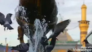  كربلاء قسما  بعينيك اللتين اليهما تأوي دندنها