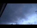 Birds Don't like thunderstorms