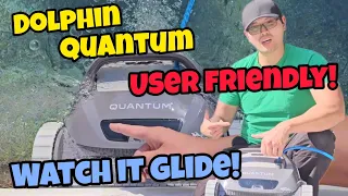 Dolphin Quantum Review