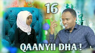 qaanyii dha dhaloota hegeree 16