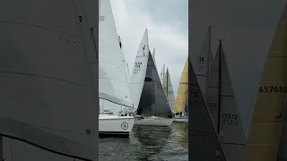 Too Calm to Race #shorts