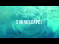 🐦 Countryside Ambience - Sleepy Meadow Nature Sounds for Sleeping and Reducing Stress