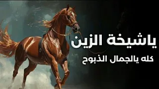 شيلة ياشيخة الزين كله يالجمال الذبوح    اداء الادهم العقوبي        حماسيه شيلات فخمه  دندنها