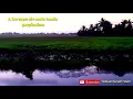 Download Lagu Kumpulan stings ku sapu air mata tanda perpisahan