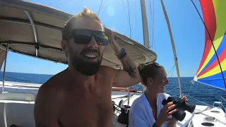 Sailing the Sea of Cortez – Our Arrival to San Carlos | Episode 77