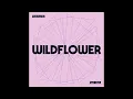 Robohands - Wildflower
