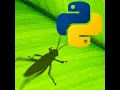 GH python Customer User Object 01