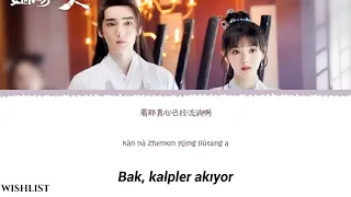 alley zhao fang jing