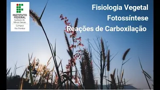 [Fisiologia Vegetal] Fotossíntese - Reações de Carboxilação