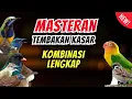 Download Lagu Masteran Full Tembakan Kasar Kombinasi Terbaik | Masteran Tembakan Kasar
