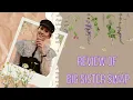 LOOKBOOK REVIEW OF CLOTHING SWAP SERVICE BIG SISTER SWAP
