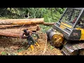 Lagu LUAR BIASA!! Aksi para pemburu kayu LOGS  di Dalam Hutan Rimba