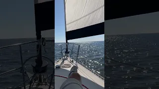 Peaceful sea sounds.#secondhandsailors #sailing #sailinglife #svdaisymae #boating